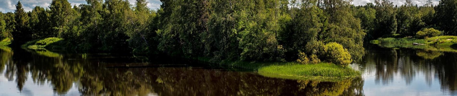 Kesämaisema