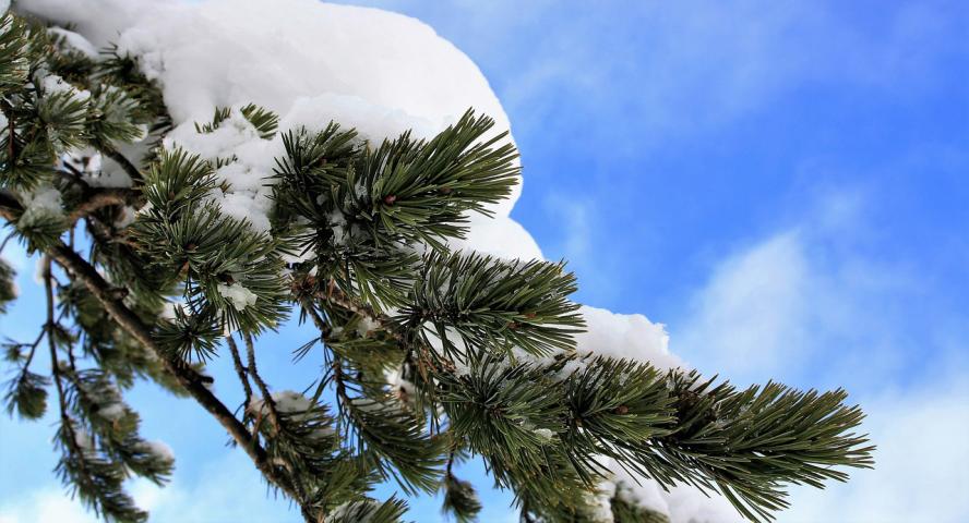 Kansallinen Hiihtopäivä